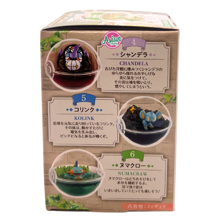Re-ment Dragon Spirit Ball Pokemon Blind Box Terrarium Collection