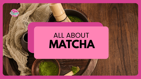 Matcha Powder: A Simple Guide to the Green Tea Everyone’s Talking About