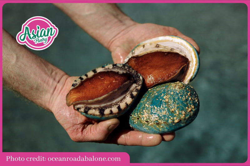 Abalone Examples Introduction to Australian Abalones