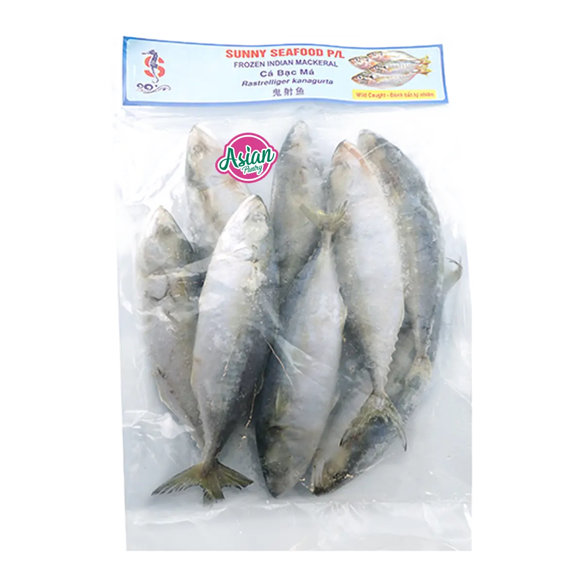 Sunny Seafood Frozen Indian Mackerel 900g