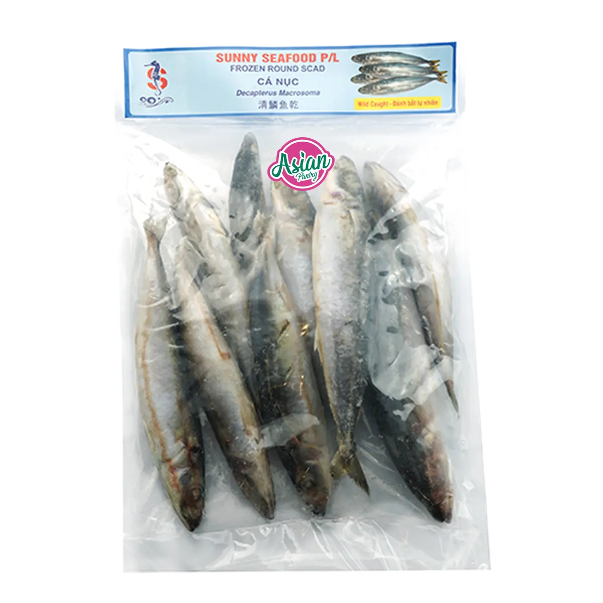 Sunny Seafood Frozen Whole Round Scad 1kg