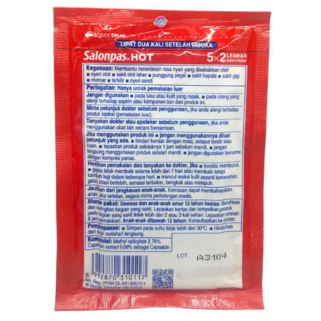 Salonpas Analgesic Patch/Plaster - HOT (10 Patches)