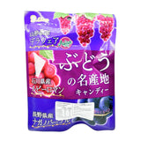 Lion Grape Candy 71g
