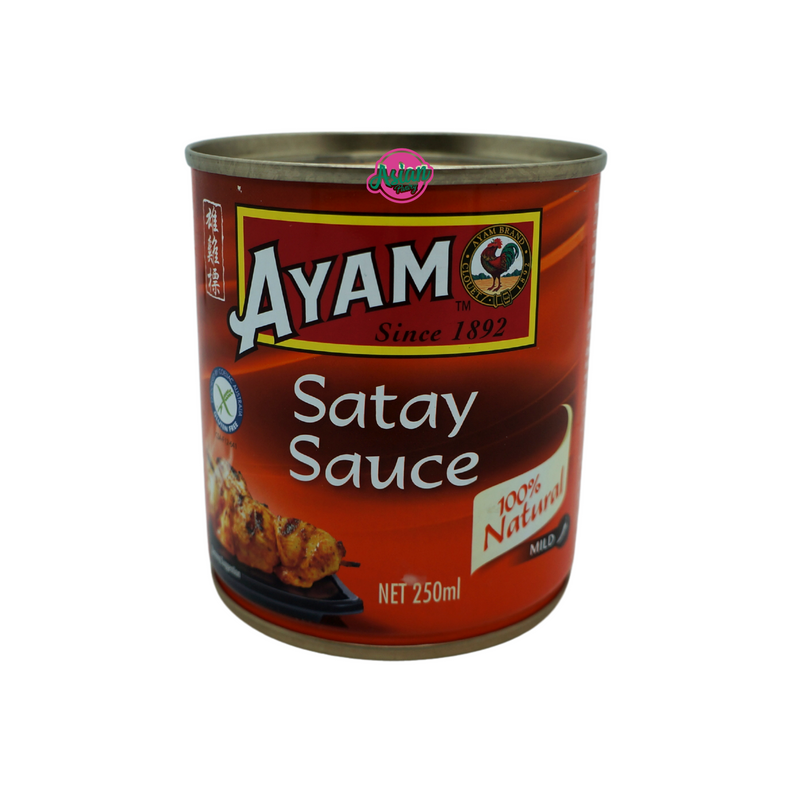 Ayam Brand Satay Sauce 250ml Front