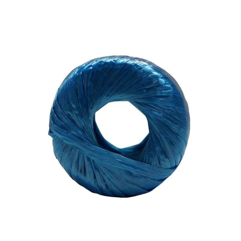 PHD Plastic String Ball BLUE 1pc Back