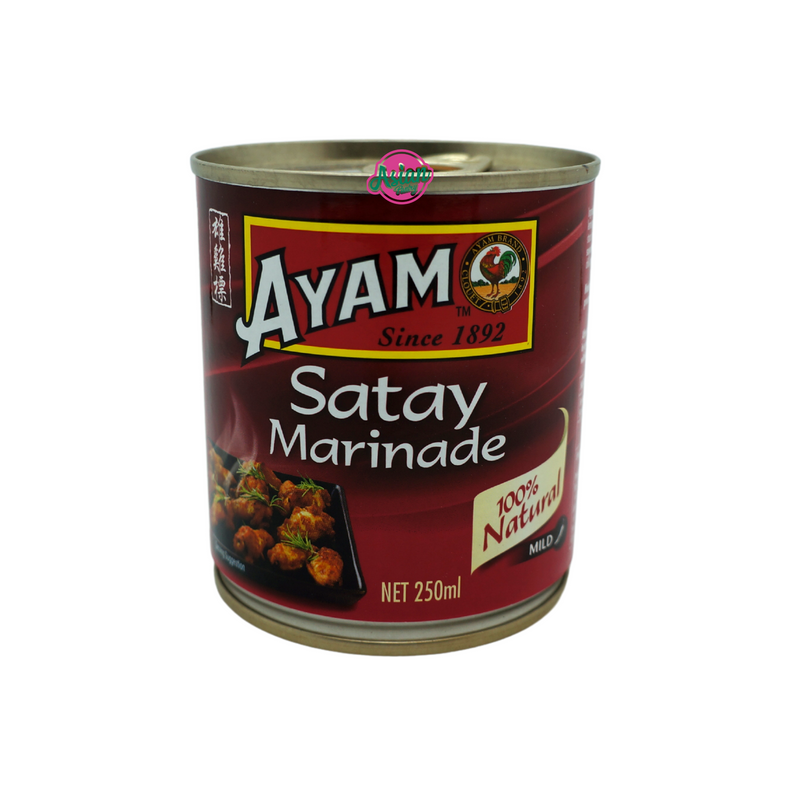 Ayam Brand Satay Marinade Sauce 250ml Front